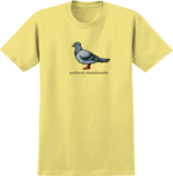 4TANTB0938081Y3-listing.png